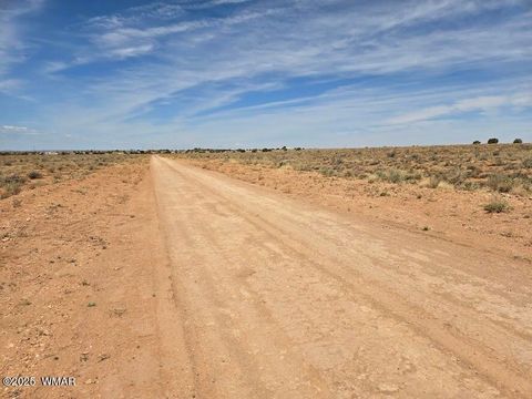 Tiny photo for TBD N Clyde Road, Snowflake, AZ 85937 (MLS # 256210)