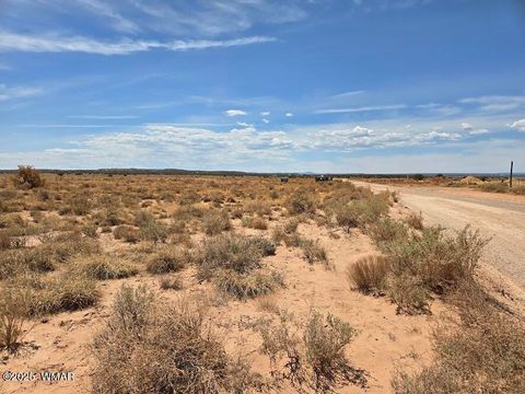 Tiny photo for TBD N Clyde Road, Snowflake, AZ 85937 (MLS # 256210)