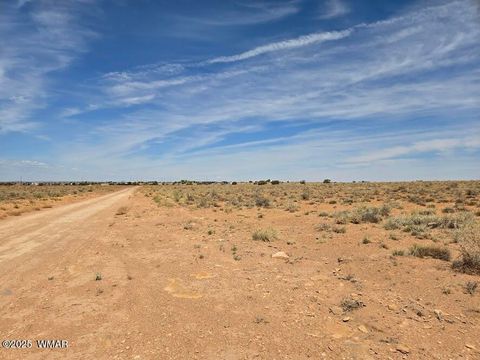 Tiny photo for TBD N Clyde Road, Snowflake, AZ 85937 (MLS # 256210)