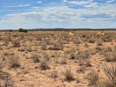 Tiny photo for TBD N Clyde Road, Snowflake, AZ 85937 (MLS # 256210)