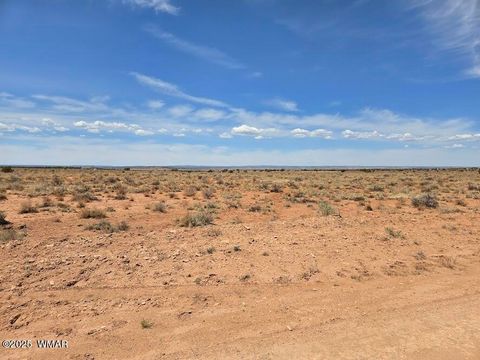 Tiny photo for TBD N Clyde Road, Snowflake, AZ 85937 (MLS # 256210)