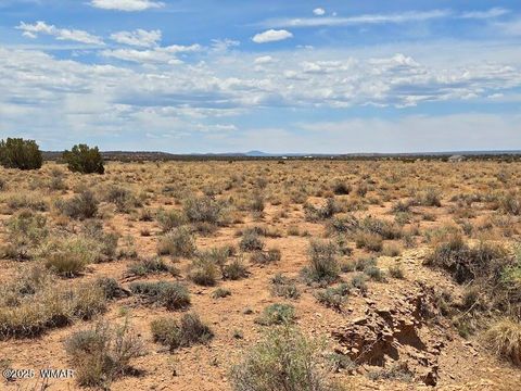 Tiny photo for TBD N Clyde Road, Snowflake, AZ 85937 (MLS # 256210)