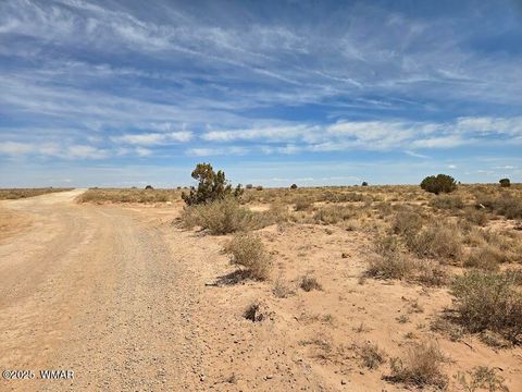 Tiny photo for TBD N Clyde Road, Snowflake, AZ 85937 (MLS # 256210)