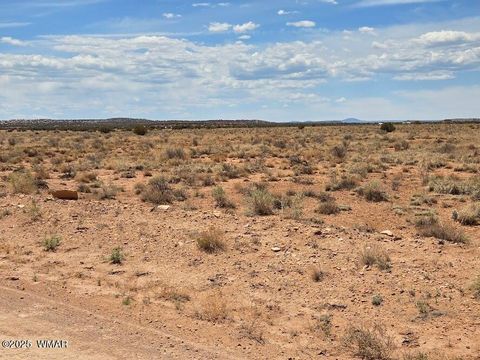 Tiny photo for TBD N Clyde Road, Snowflake, AZ 85937 (MLS # 256210)