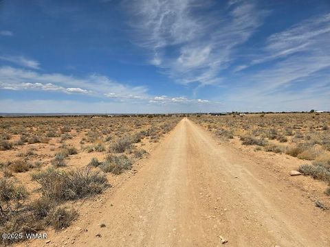 Tiny photo for TBD N Clyde Road, Snowflake, AZ 85937 (MLS # 256210)