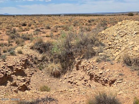 Tiny photo for TBD N Clyde Road, Snowflake, AZ 85937 (MLS # 256210)