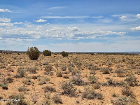 Tiny photo for TBD N Clyde Road, Snowflake, AZ 85937 (MLS # 256210)