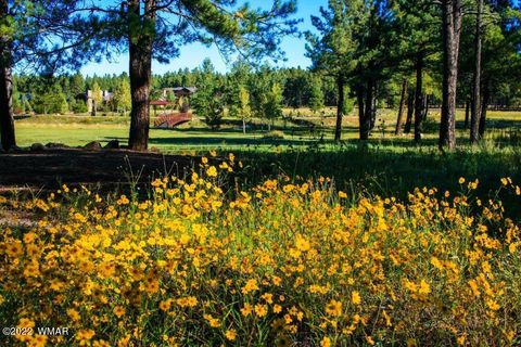 Tiny photo for 9582 Sierra Springs Drive, Pinetop, AZ 85935 (MLS # 242515)
