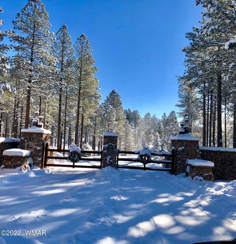 Tiny photo for 9582 Sierra Springs Drive, Pinetop, AZ 85935 (MLS # 242515)