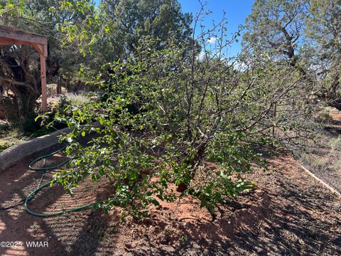 Tiny photo for 43 N9157, Concho, AZ 85924 (MLS # 258203)