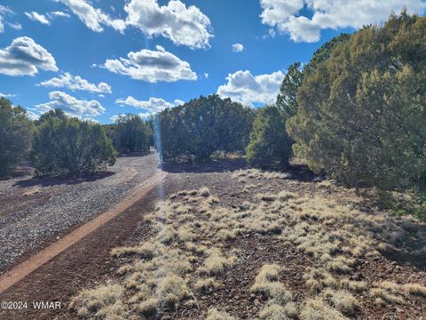 Photo of 81 N 3328, Vernon, AZ 85940 (MLS # 252516)