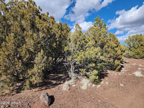 Tiny photo for 81 N 3328, Vernon, AZ 85940 (MLS # 252516)