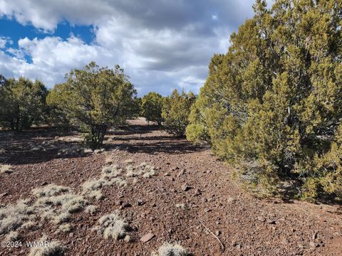 Tiny photo for 81 N 3328, Vernon, AZ 85940 (MLS # 252516)