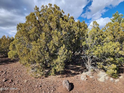 Tiny photo for 81 N 3328, Vernon, AZ 85940 (MLS # 252516)