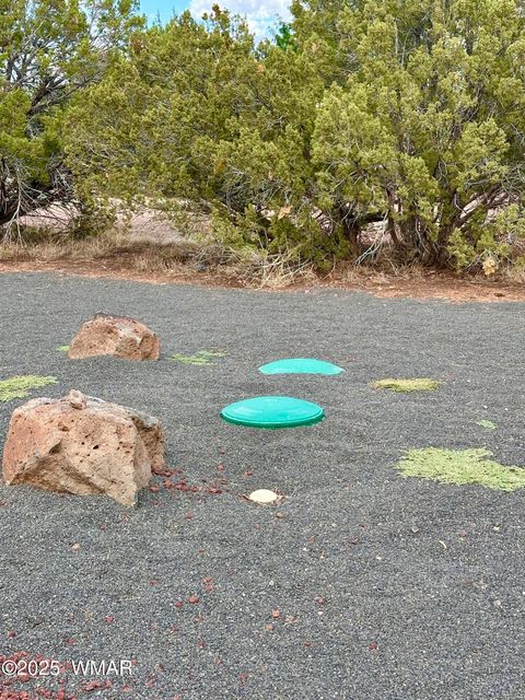 Tiny photo for 1826 Howard Place, Show Low, AZ 85901 (MLS # 257857)