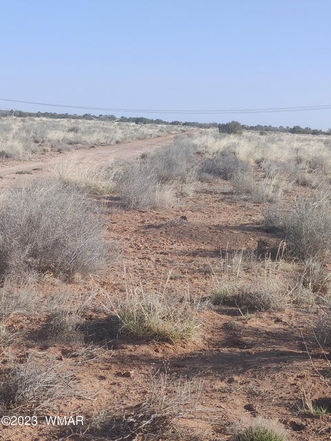 Tiny photo for 5339 Tina Road, Snowflake, AZ 85937 (MLS # 261865)