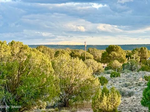 Photo of 4428 Colt Road, Snowflake, AZ 85937 (MLS # 260948)
