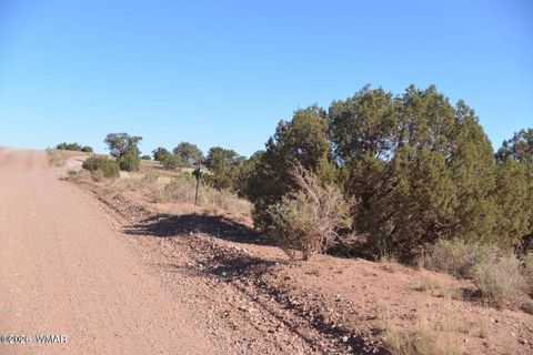 Tiny photo for 4173 Colt Road, Snowflake, AZ 85937 (MLS # 259335)