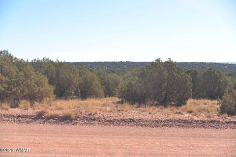 Tiny photo for 4173 Colt Road, Snowflake, AZ 85937 (MLS # 259335)