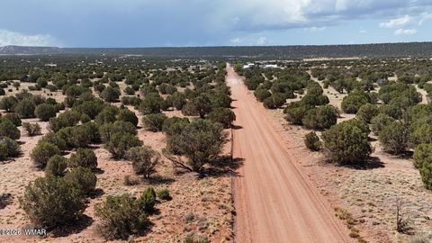 Photo of 4173 Colt Road, Snowflake, AZ 85937 (MLS # 259335)