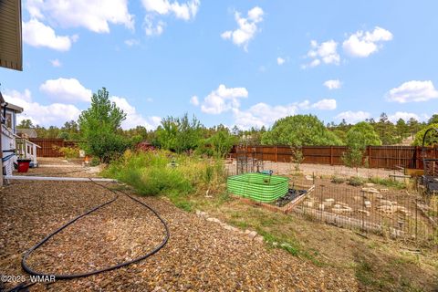 Tiny photo for 5330 April Place, Pinedale, AZ 85934 (MLS # 258056)