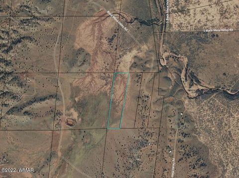 Tiny photo for 9543 Privette Trl, Snowflake, AZ 85937 (MLS # 243019)