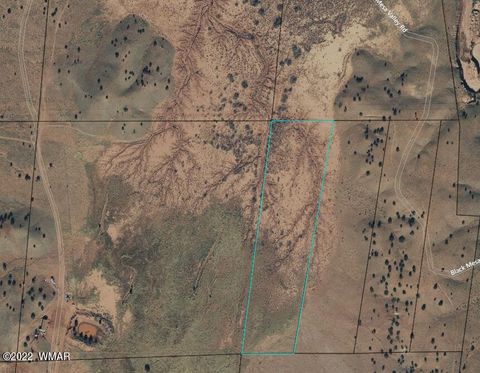Tiny photo for 9543 Privette Trl, Snowflake, AZ 85937 (MLS # 243019)