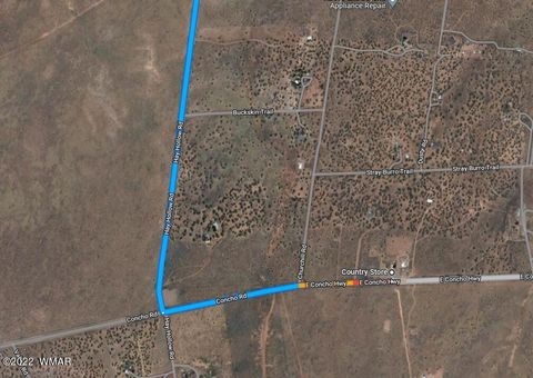 Tiny photo for 9543 Privette Trl, Snowflake, AZ 85937 (MLS # 243019)