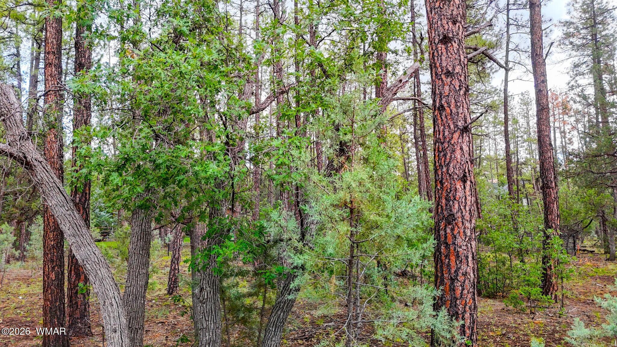 2750 White Oak Trail
