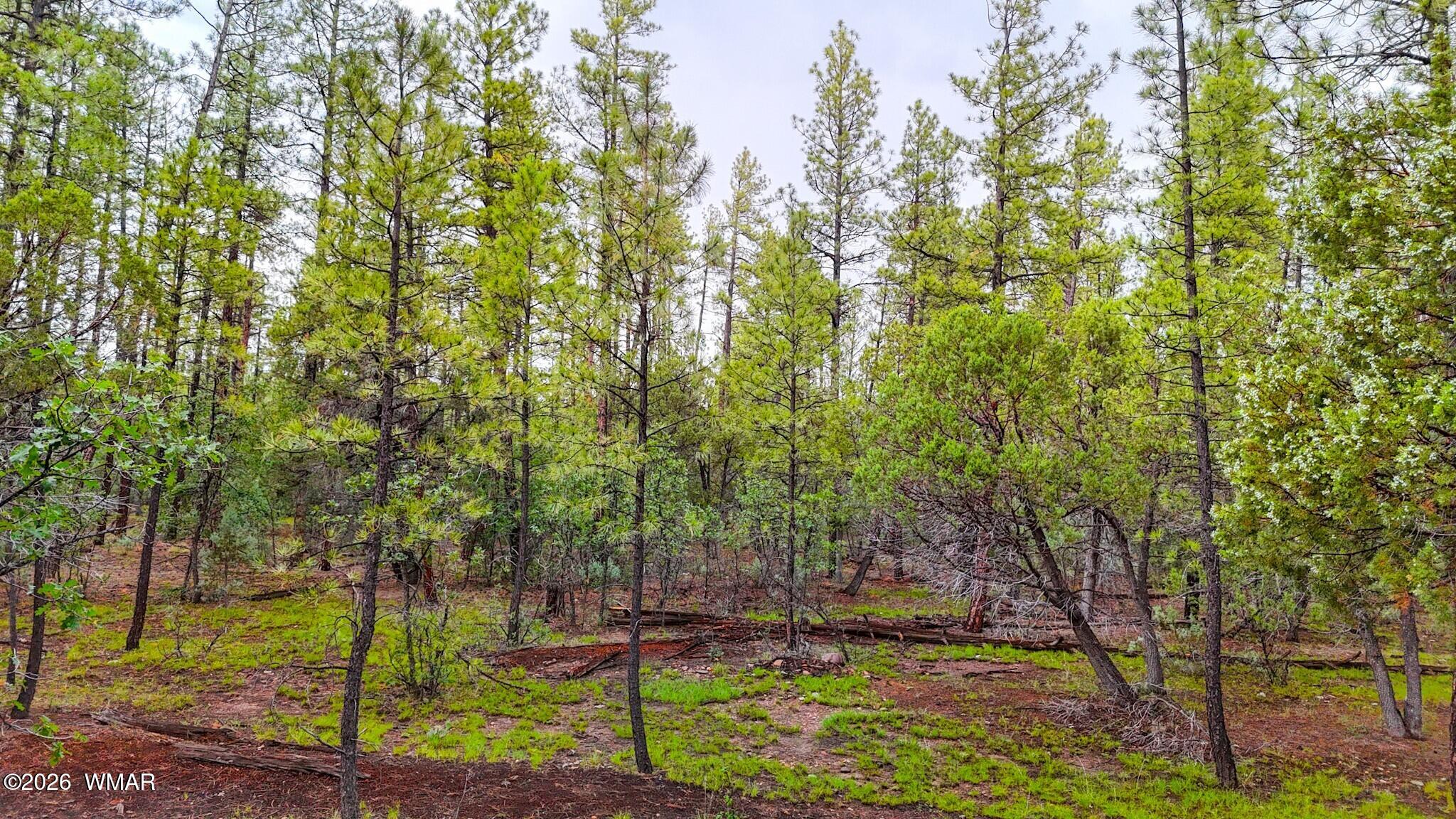 2750 White Oak Trail