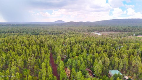 Tiny photo for 2750 Wild Oak Trail Lane, Pinetop, AZ 85935 (MLS # 263024)