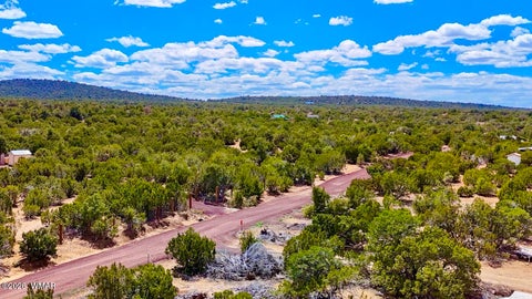 Tiny photo for 15 County Road, Vernon, AZ 85940 (MLS # 260777)