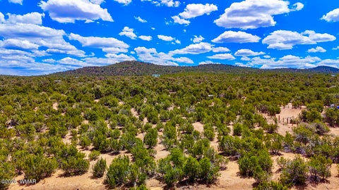 Photo of 15 County Road, Vernon, AZ 85940 (MLS # 260777)