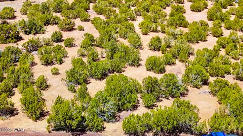 Tiny photo for 15 County Road, Vernon, AZ 85940 (MLS # 260777)