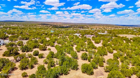 Tiny photo for 15 County Road, Vernon, AZ 85940 (MLS # 260777)