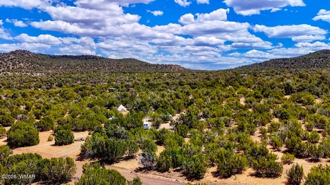 Tiny photo for 15 County Road, Vernon, AZ 85940 (MLS # 260777)