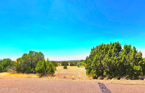 Tiny photo for 1950 Creekside Circle, Show Low, AZ 85901 (MLS # 258261)