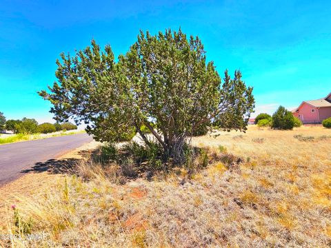 Tiny photo for 1950 Creekside Circle, Show Low, AZ 85901 (MLS # 258261)