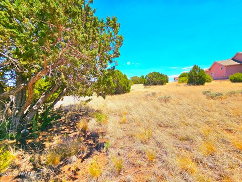 Tiny photo for 1950 Creekside Circle, Show Low, AZ 85901 (MLS # 258261)