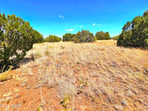 Tiny photo for 1950 Creekside Circle, Show Low, AZ 85901 (MLS # 258261)