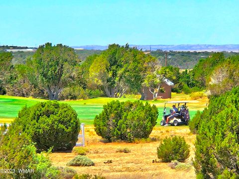 Photo of 1950 Creekside Circle, Show Low, AZ 85901 (MLS # 258261)