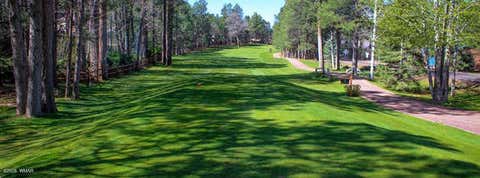 Tiny photo for 6378 Christmas Tree Circle, Pinetop, AZ 85935 (MLS # 262235)