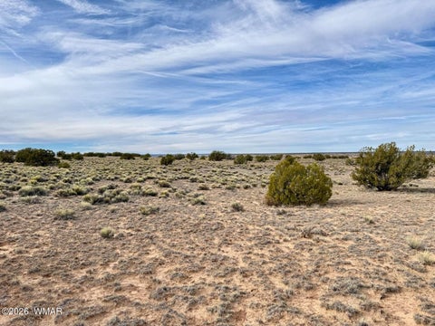 Tiny photo for 78 Sierra Highlands Ranch, Saint Johns, AZ 85936 (MLS # 263107)