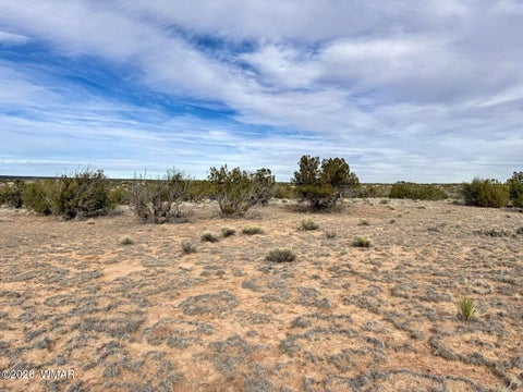 Tiny photo for 78 Sierra Highlands Ranch, Saint Johns, AZ 85936 (MLS # 263107)