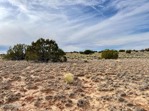 Tiny photo for 78 Sierra Highlands Ranch, Saint Johns, AZ 85936 (MLS # 263107)