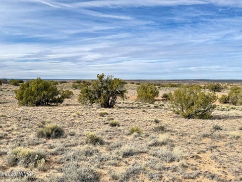 Tiny photo for 78 Sierra Highlands Ranch, Saint Johns, AZ 85936 (MLS # 263107)
