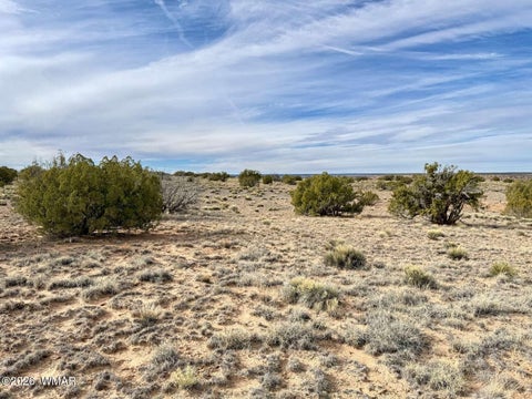 Tiny photo for 78 Sierra Highlands Ranch, Saint Johns, AZ 85936 (MLS # 263107)