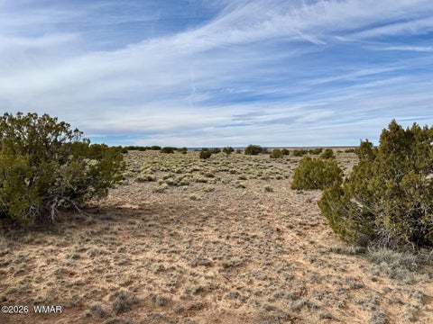 Tiny photo for 78 Sierra Highlands Ranch, Saint Johns, AZ 85936 (MLS # 263107)