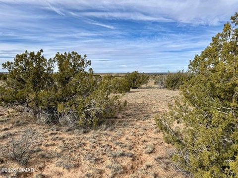 Tiny photo for 78 Sierra Highlands Ranch, Saint Johns, AZ 85936 (MLS # 263107)