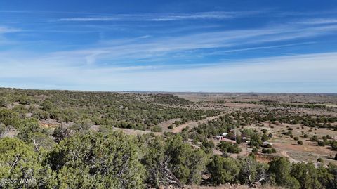 Photo of TBD S Freedom Circle, Shumway, AZ 85901 (MLS # 260679)